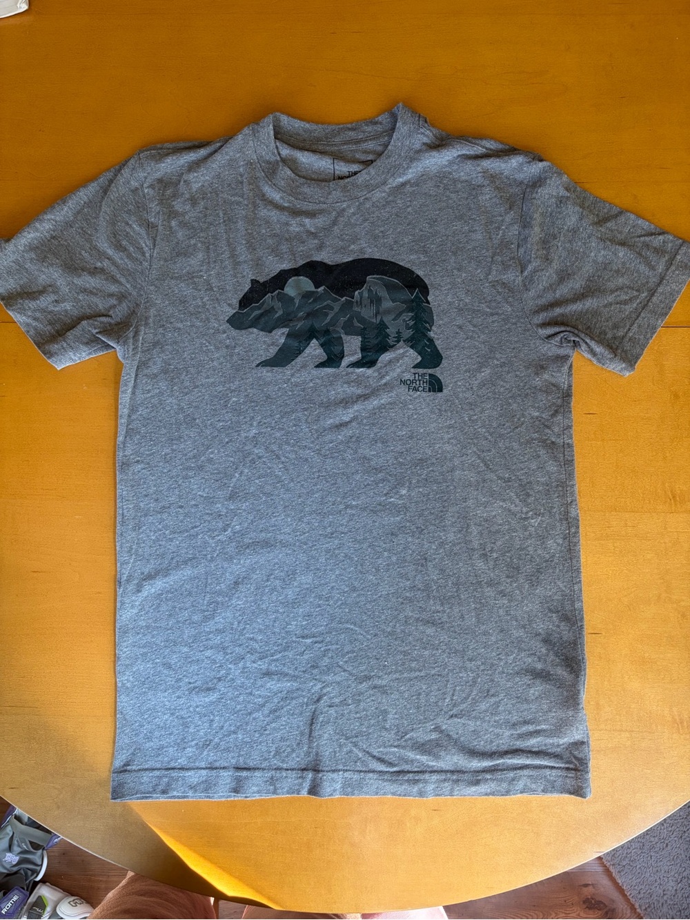 The North Face Men’s Heather Grey Bear Graphic Tee